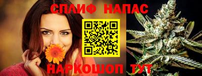 сатива Заводоуковск