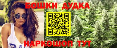 сатива Заводоуковск