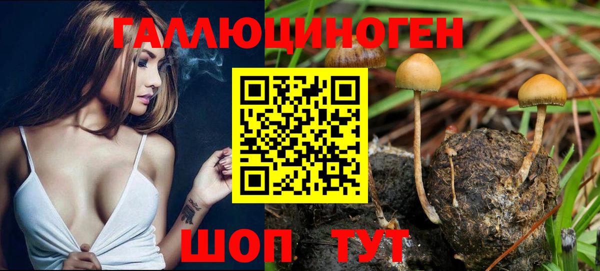 Майкоп  Псилоцибиновые грибы MAGIC MUSHROOMS  магазин продажи наркотиков  Вход с VPN 